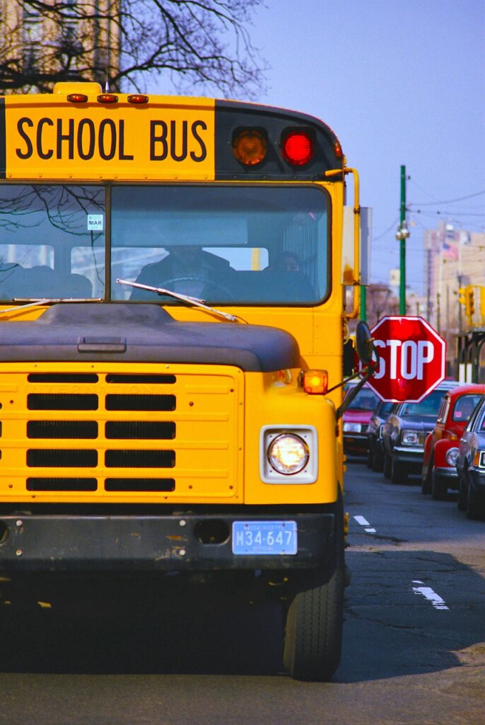 school bus, yellow, transport, school, usa, education, traffic, road, street, school bus, school bus, school bus, school bus, school bus